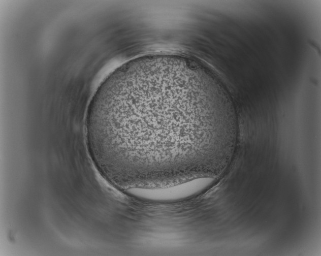 X0000103411471200809261632