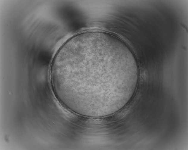 X0000103411474200809261632