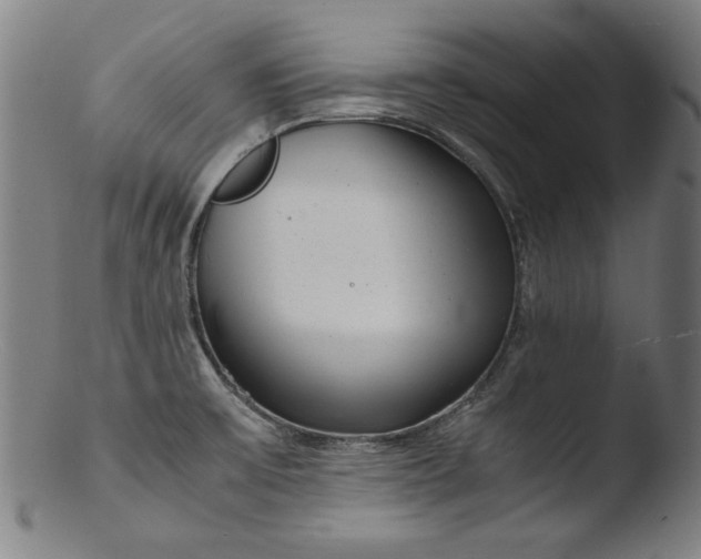 X0000103411475200809261632