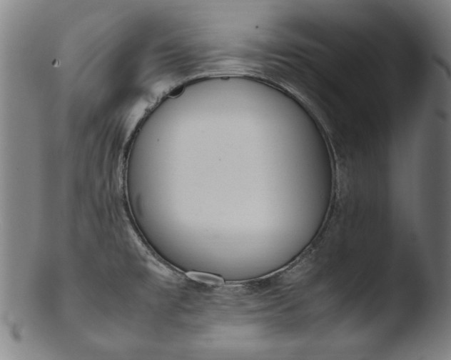 X0000103411477200809261631