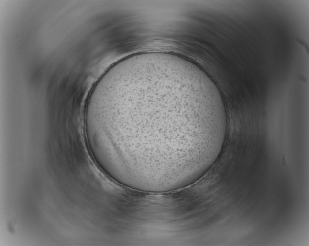 X0000103411478200809261631