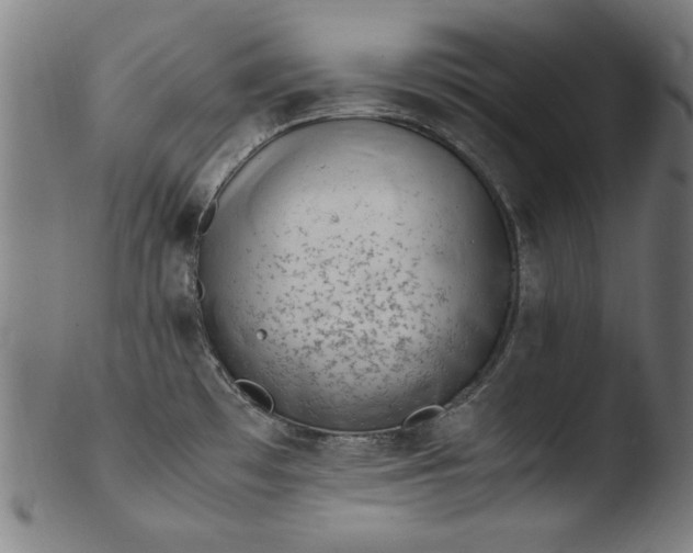 X0000103411481200809261631