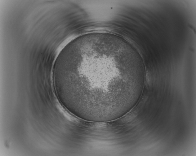 X0000103411482200809261631