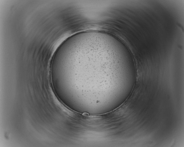 X0000103411483200809261631