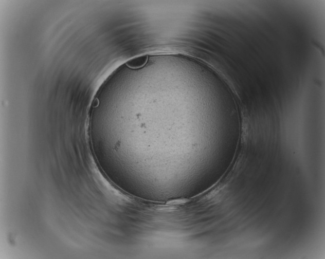 X0000103411484200809261631