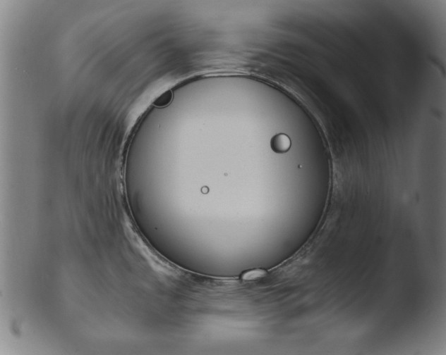 X0000103411485200809261631