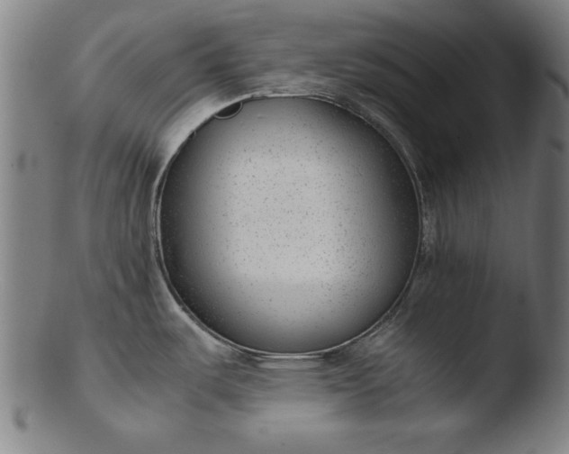 X0000103411487200809261631