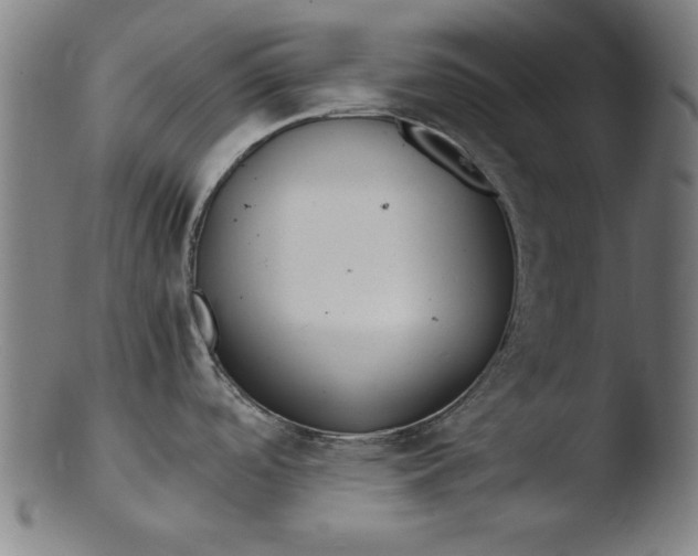 X0000103411488200809261631