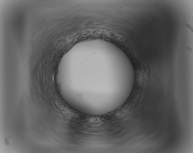 X0000103411489200809261630