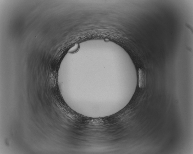 X0000103411491200809261630