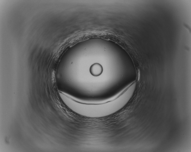 X0000103411492200809261630