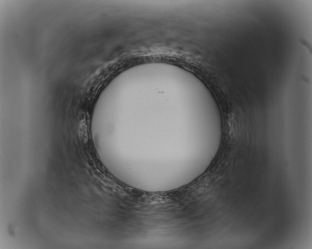 X0000103411493200809261631