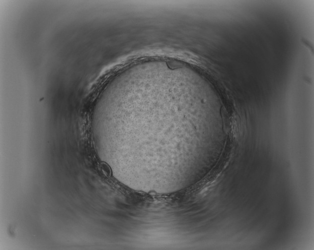 X0000103411494200809261631