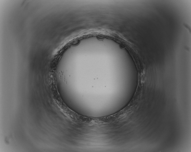 X0000103411496200809261631