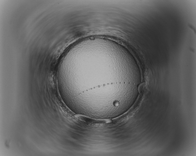 X0000103411497200809261631