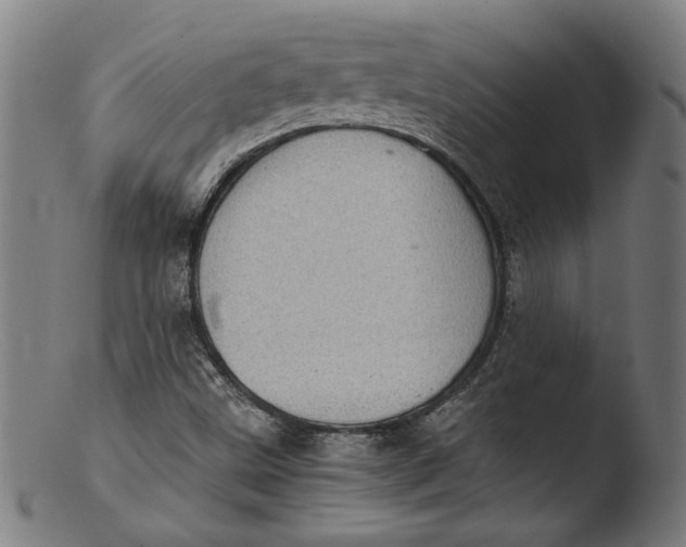 X0000103411499200809261631