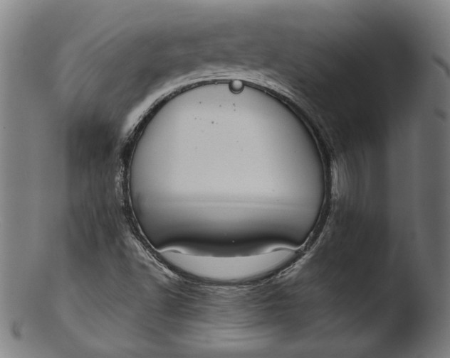 X0000103411502200809261631