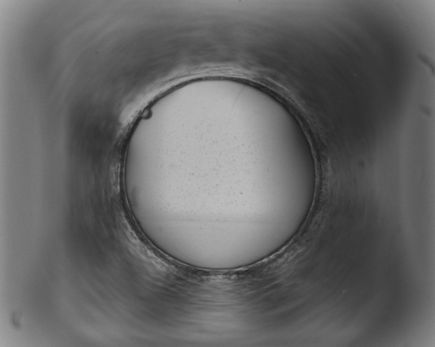 X0000103411504200809261631