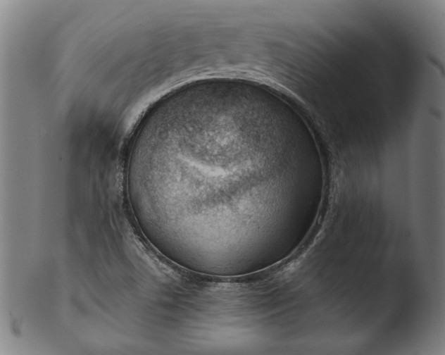 X0000103411506200809261631