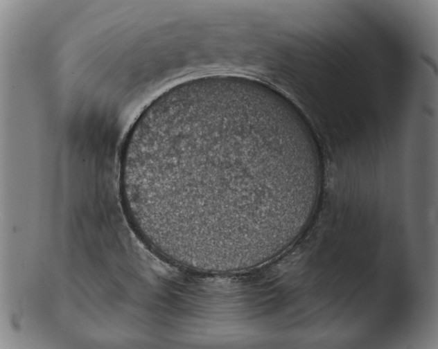 X0000103411508200809261631