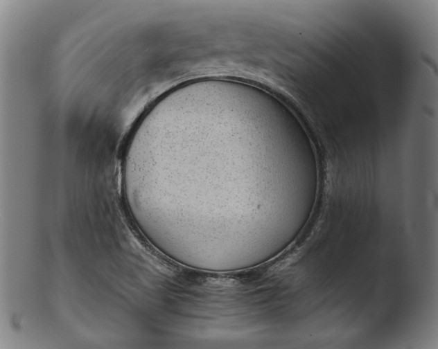 X0000103411509200809261631