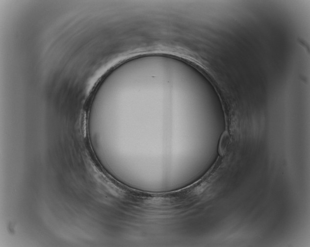 X0000103411510200809261631