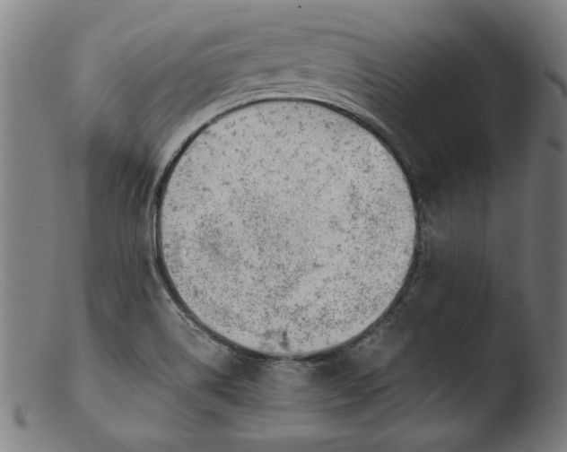 X0000103411514200809261631