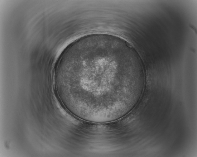 X0000103411515200809261631