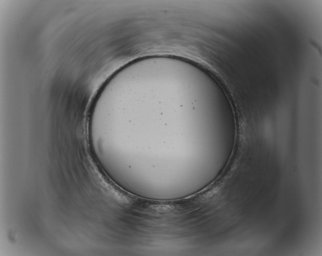 X0000103411517200809261631