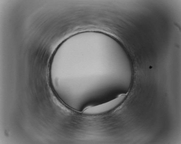 X0000103411518200809261631