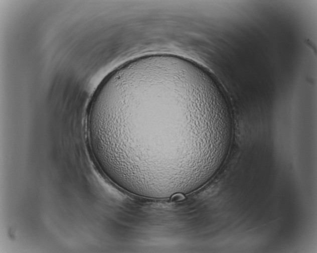 X0000103411519200809261631