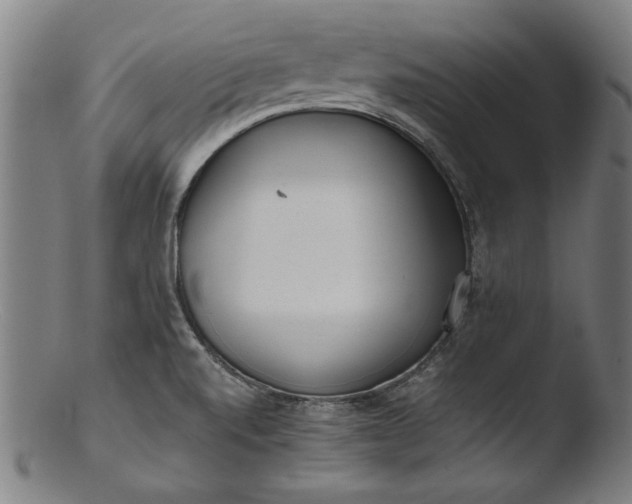 X0000103411520200809261631