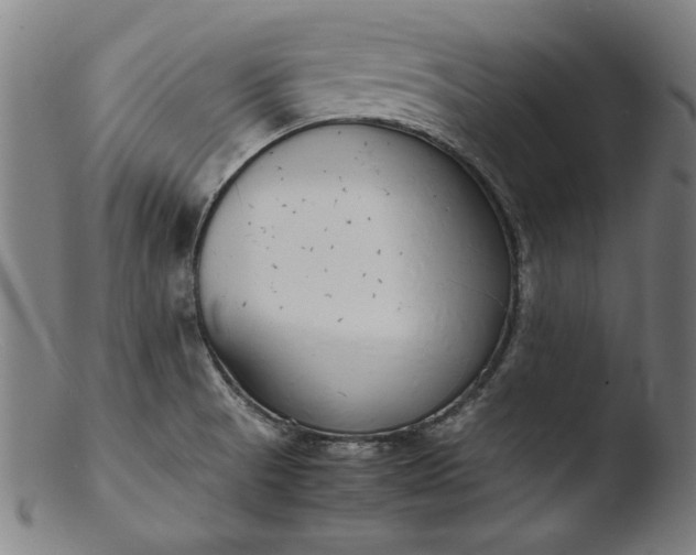 X0000103411521200809261631