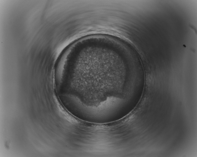 X0000103411522200809261631