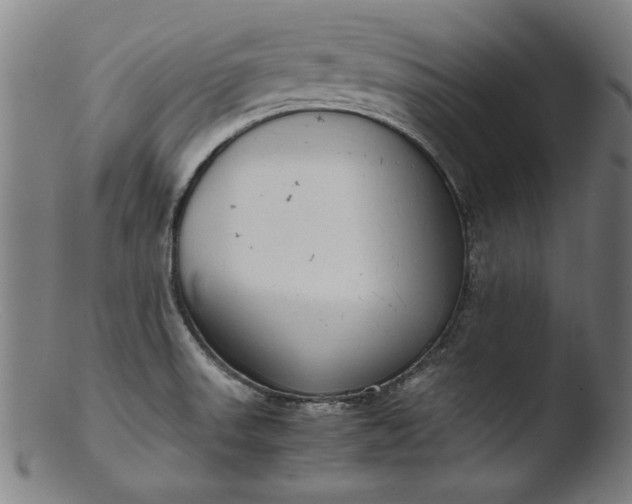 X0000103411523200809261631