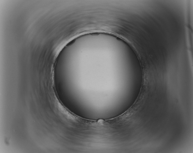 X0000103411524200809261631