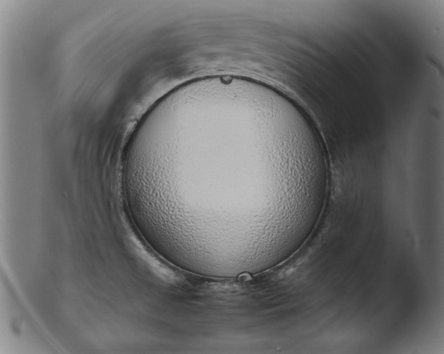 X0000103411525200809261631