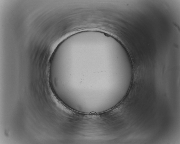 X0000103411526200809261631