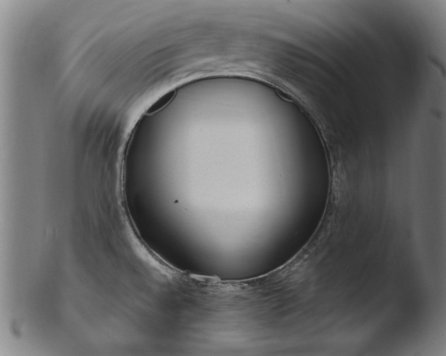 X0000103411528200809261631