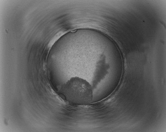 X0000103411529200809261631