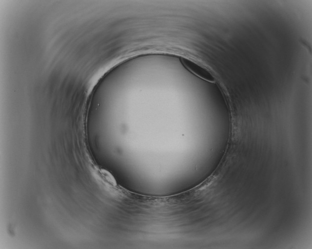 X0000103411530200809261631