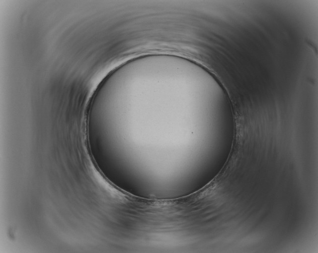 X0000103411531200809261631