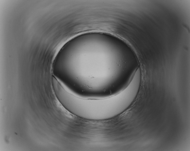 X0000103411532200809261631