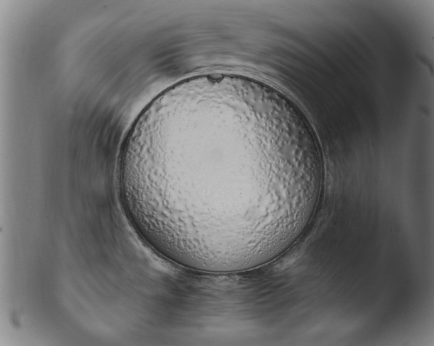 X0000103411533200809261631