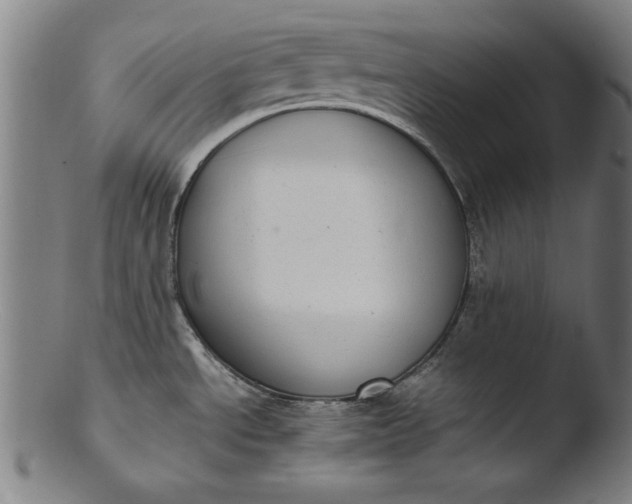 X0000103411534200809261631