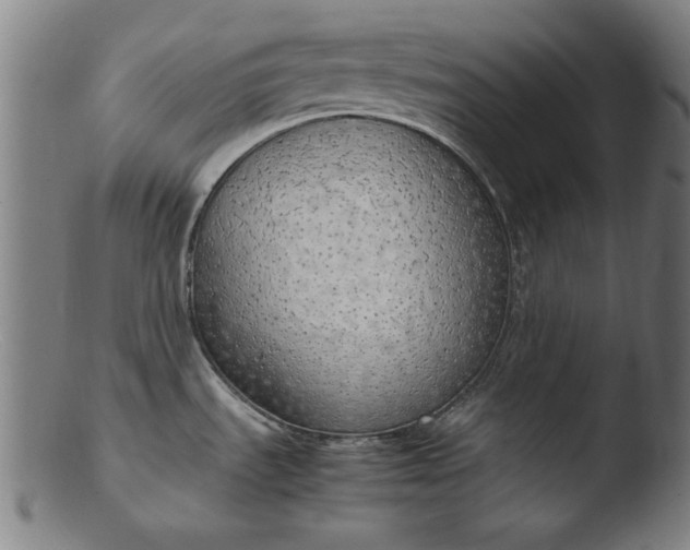 X0000103411535200809261631