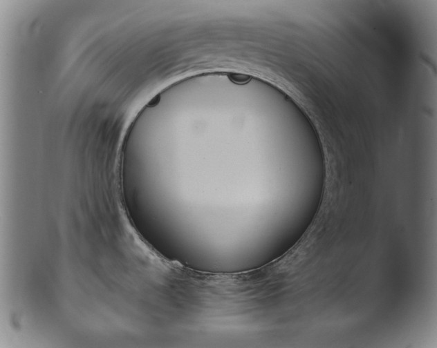 X0000103411536200809261631