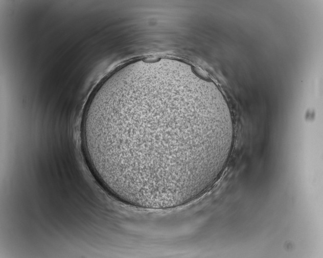 X0000103410002200810031257