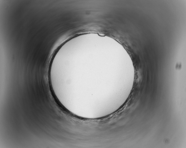 X0000103410004200810031257