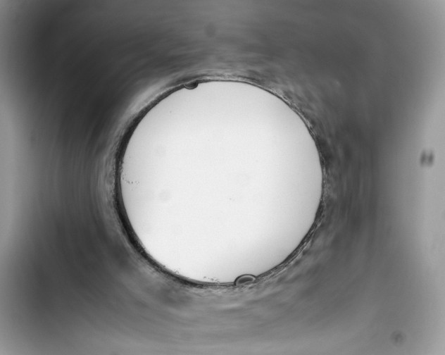 X0000103410005200810031257